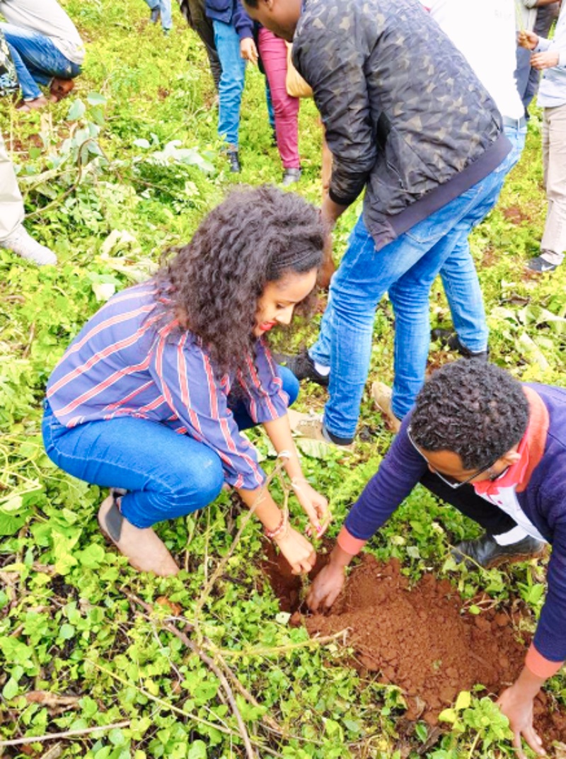 gelesen KW 30 - Äthiopien pflanzt 350 Millionen Bäume an einem Tag