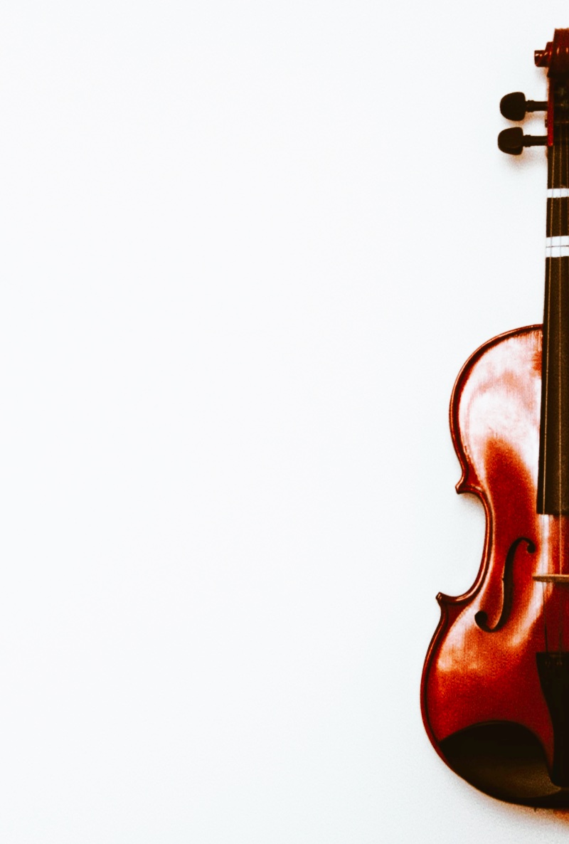 gesehen KW 34 - Die Klospülung, die jeder mal braucht oder Klingt eine 69 Dollar Geige wirklich anders als eine Stradivari?