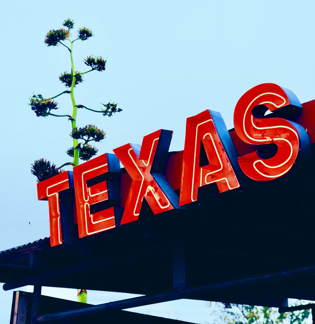 gelesen KW 28 - Die Flucht aus Texas oder wie man Wählerrechte ohne politische Mehrheit verteidigt